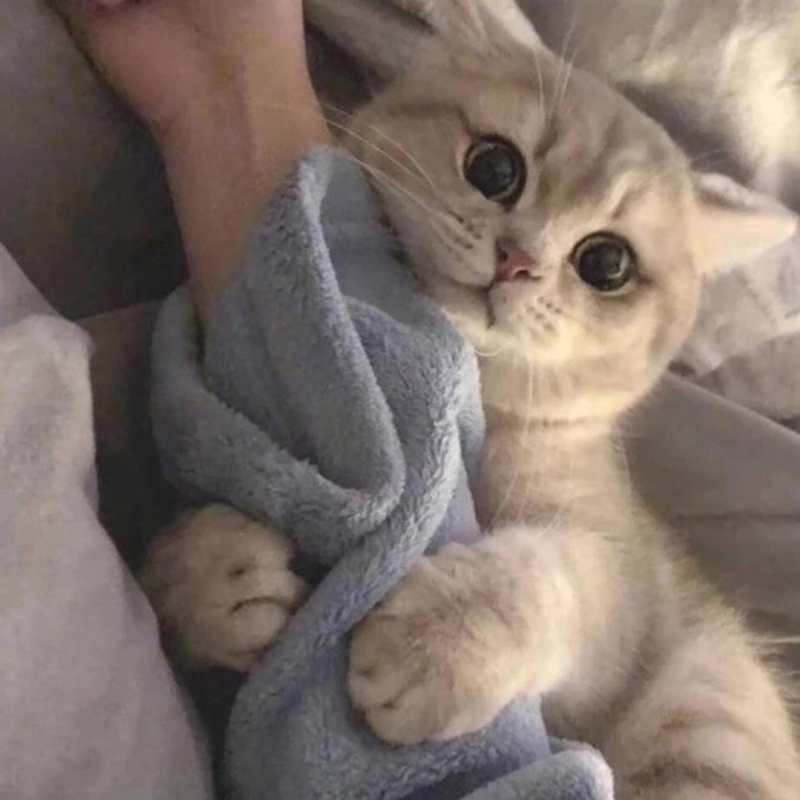 生生不息